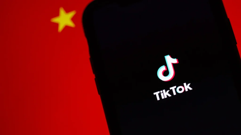 tiktok downloader online