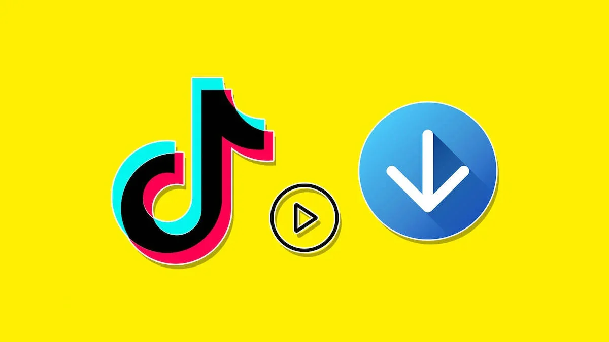 How to Use TikTok Downloader to Instantly Download TikTok Videos and Earn Money on the App